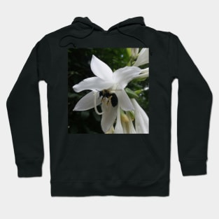 Bee in a Flower Photographic Design - Garden lover gift Hoodie